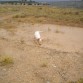 dia en el "barro"